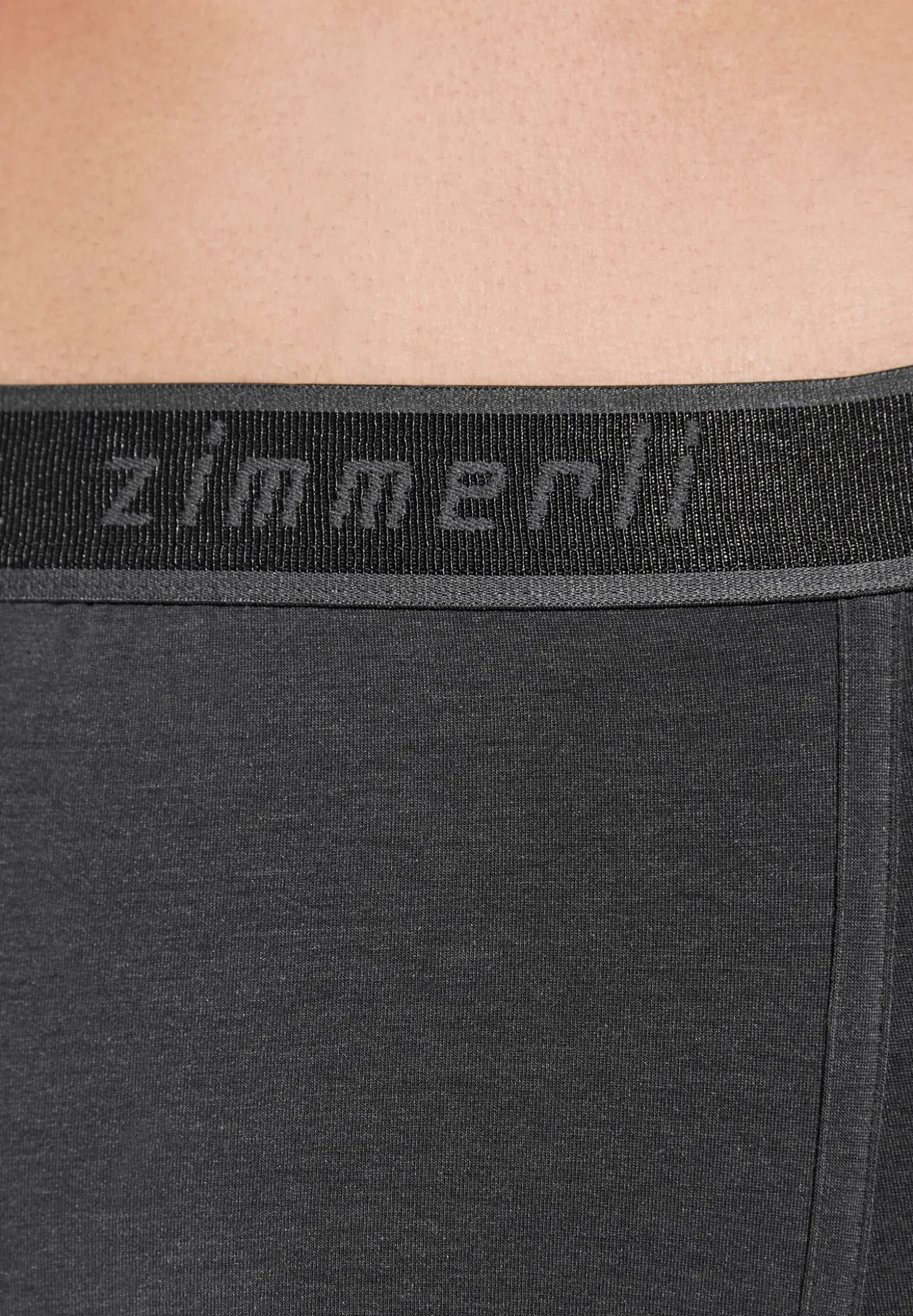 Homme Zimmerli Cozy ComfortCaleçon longues - raven