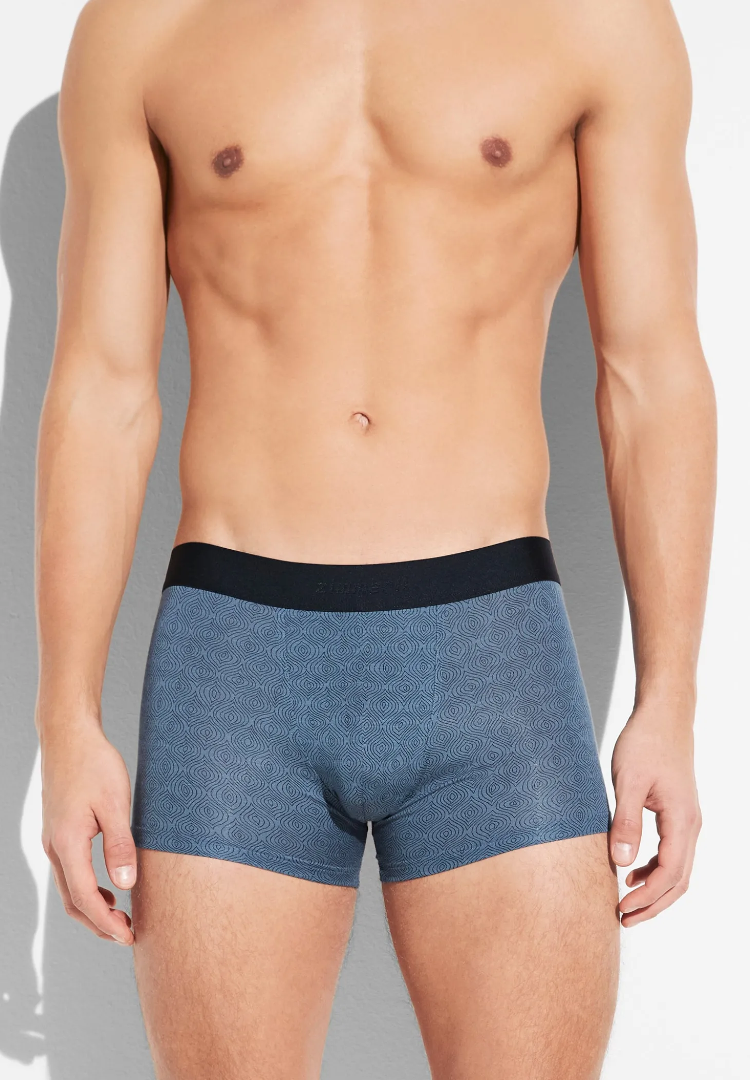 Homme Zimmerli Pureness PrintBoxer Trunk - linear geo blue